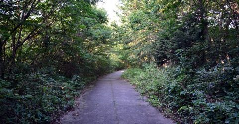 道に迷う夢を見たときの5つの意味