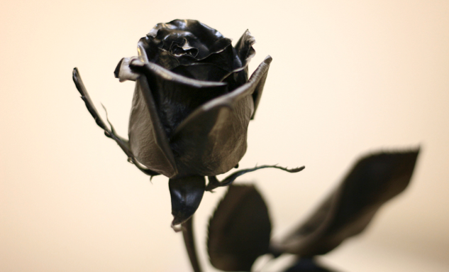 黒薔薇の気を付けたい花言葉の意味と役立つ知識６選 花言葉と夢占い
